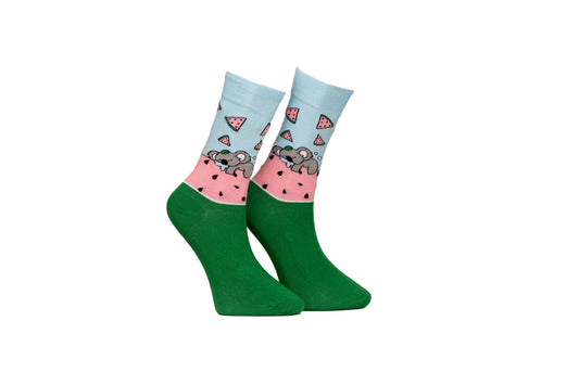 Watermelon Koala