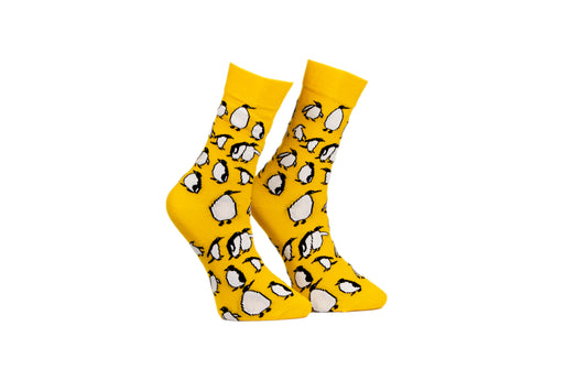 Yellow Fever Penguin