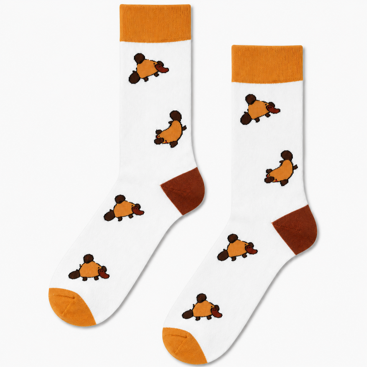 Platypus Parade