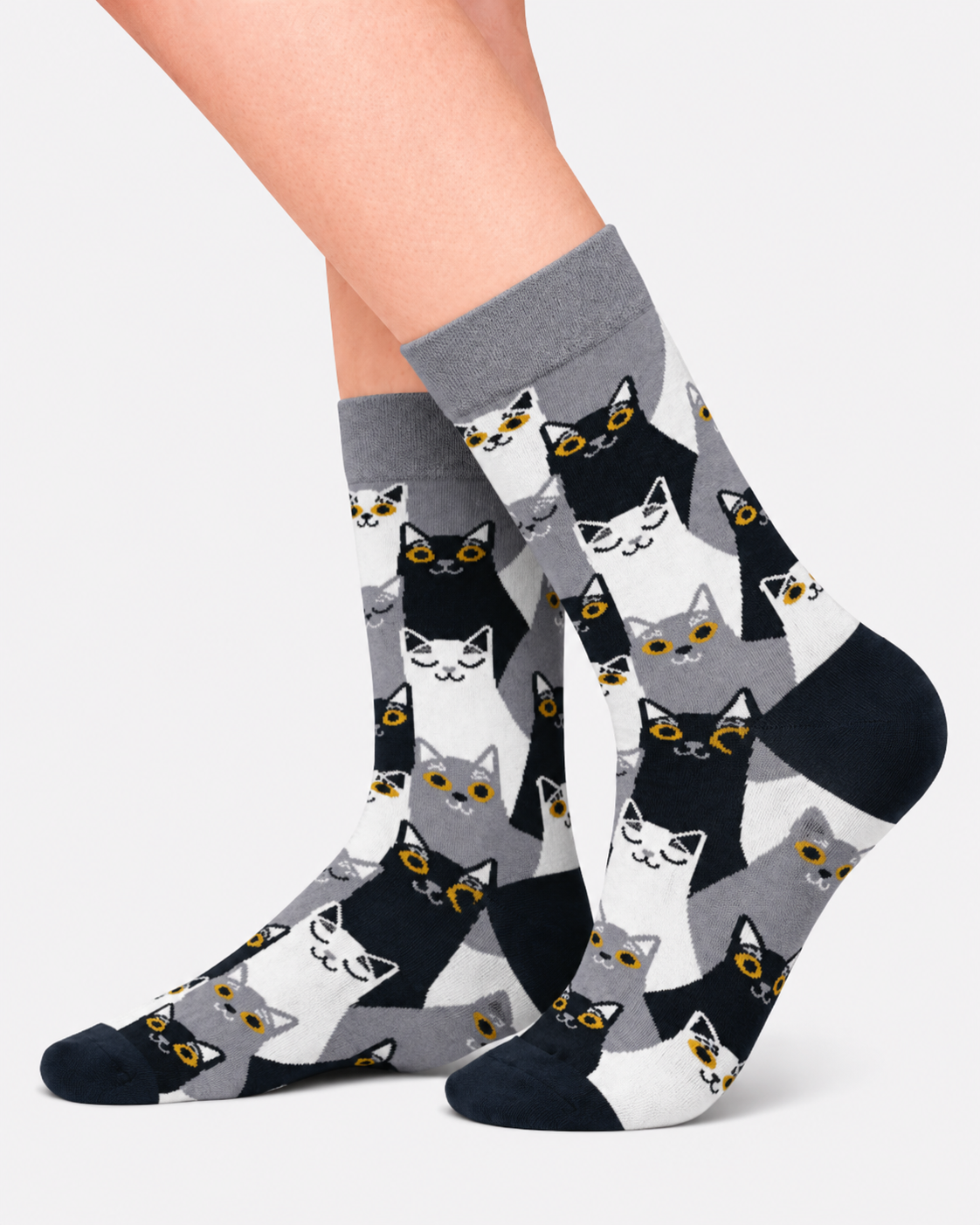 Midnight Cats