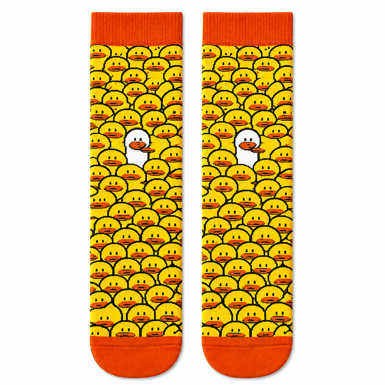 Odd Duck