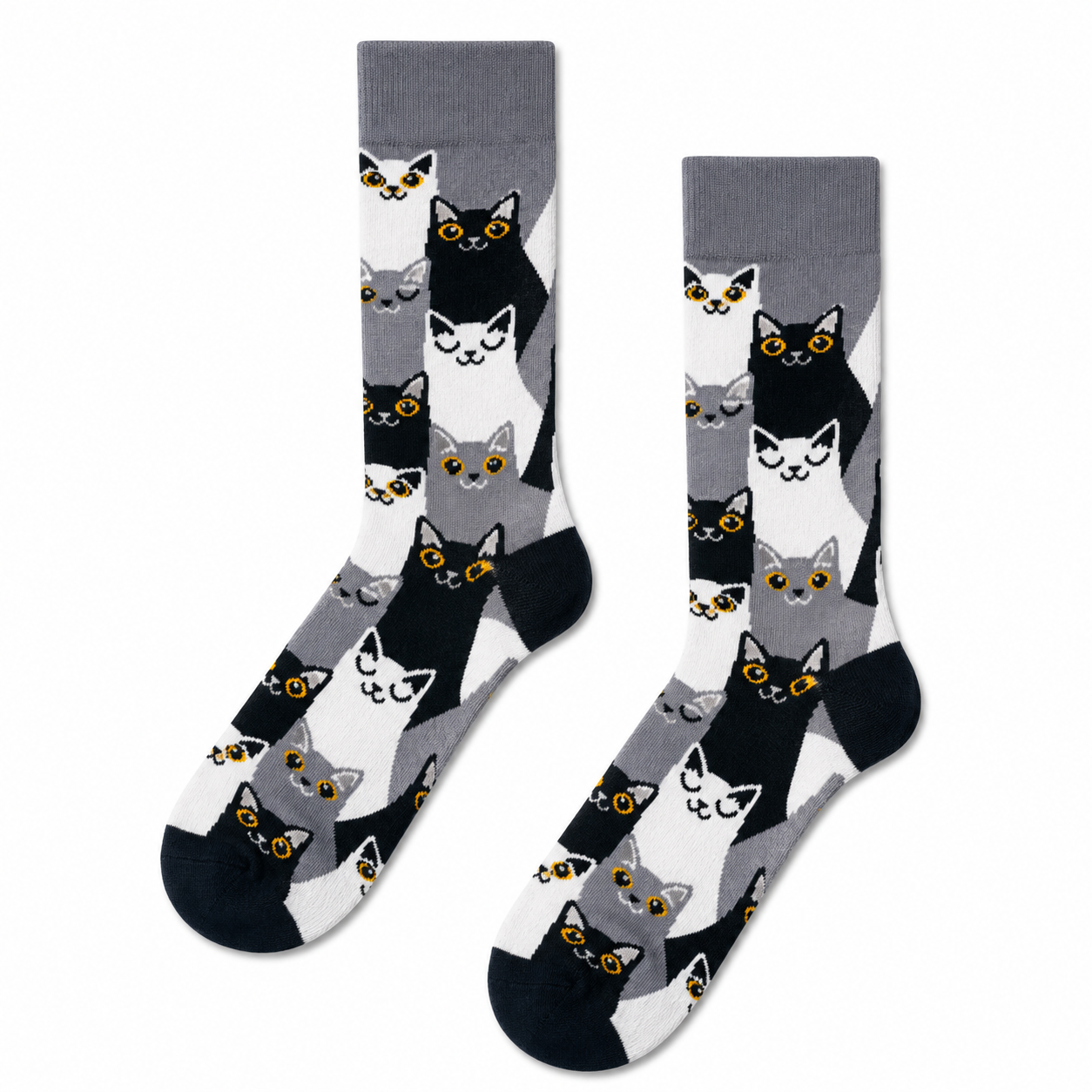 Midnight Cats