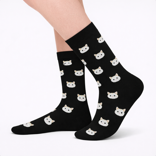 Sweet Cats